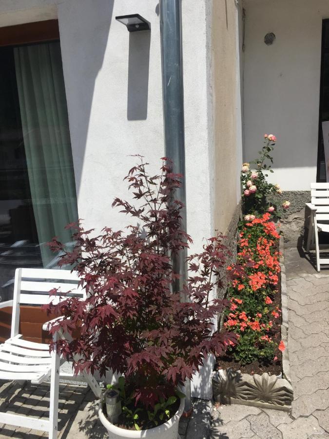 Milla Appartamento 4-6 Letti - Pontagna -1Km Ponte Di Legno T04416 Villa d'Allegno エクステリア 写真