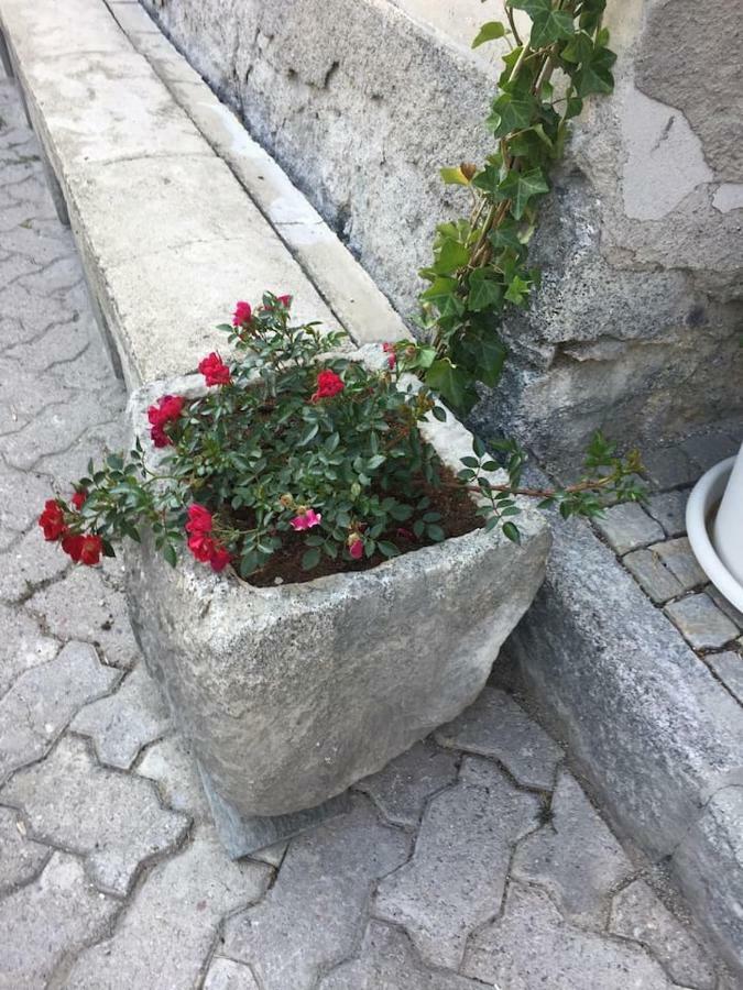 Milla Appartamento 4-6 Letti - Pontagna -1Km Ponte Di Legno T04416 Villa d'Allegno エクステリア 写真